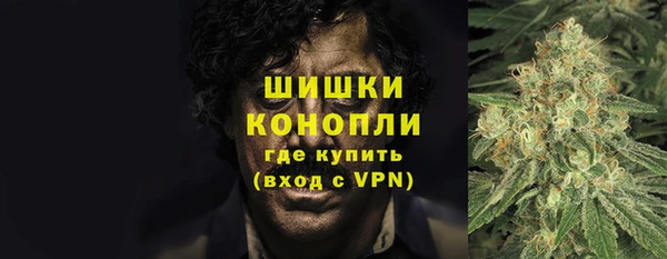 прущие грибы Алзамай