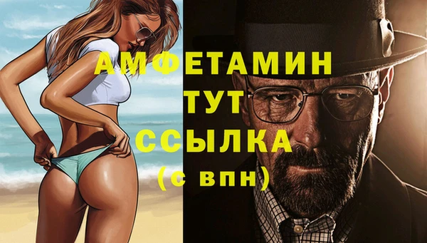 прущие грибы Алзамай
