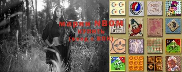 прущие грибы Алзамай