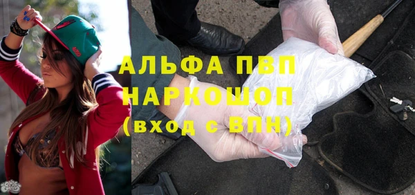 сатива Арсеньев