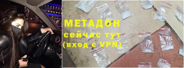 прущие грибы Алзамай