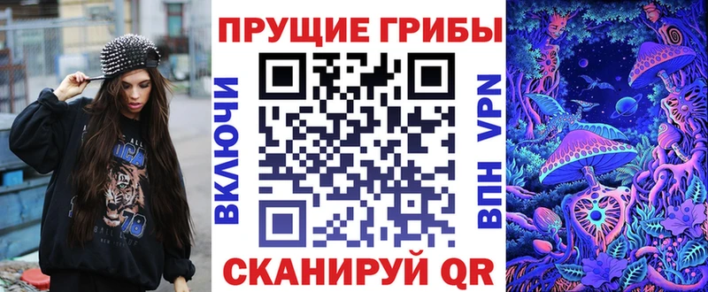 Галлюциногенные грибы Psilocybe Сыктывкар